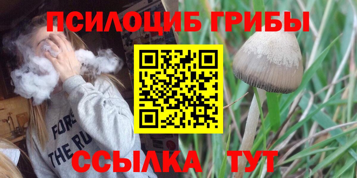 Псилоцибиновые грибы MAGIC MUSHROOMS  Вход с VPN  Брянск  Галлюциногенные грибы ЛСД 